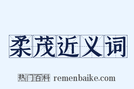 柔茂近义词是什么意思的图片